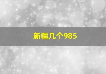 新疆几个985