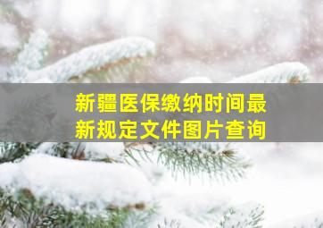 新疆医保缴纳时间最新规定文件图片查询