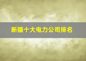 新疆十大电力公司排名