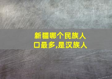 新疆哪个民族人口最多,是汉族人