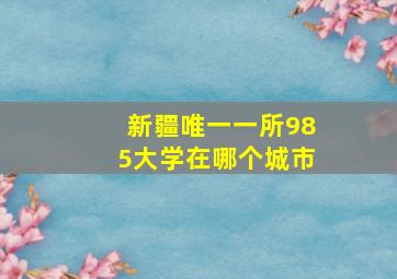 新疆唯一一所985大学在哪个城市