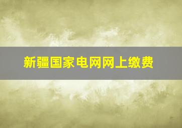 新疆国家电网网上缴费