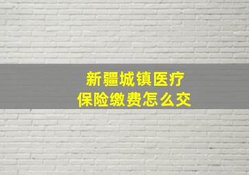 新疆城镇医疗保险缴费怎么交