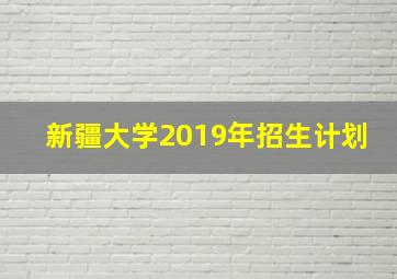 新疆大学2019年招生计划