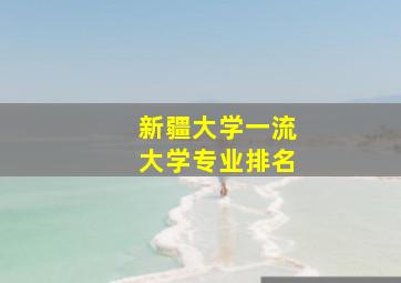 新疆大学一流大学专业排名