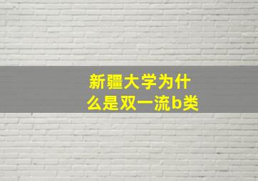 新疆大学为什么是双一流b类