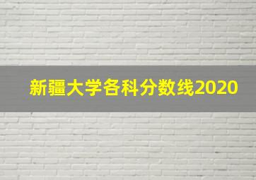 新疆大学各科分数线2020