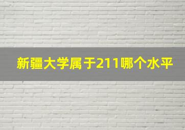 新疆大学属于211哪个水平