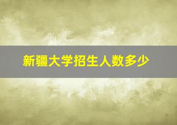 新疆大学招生人数多少