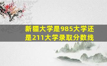 新疆大学是985大学还是211大学录取分数线