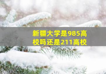 新疆大学是985高校吗还是211高校