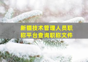 新疆技术管理人员职称平台查询职称文件