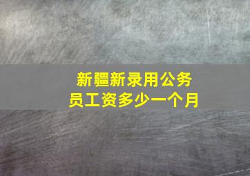 新疆新录用公务员工资多少一个月