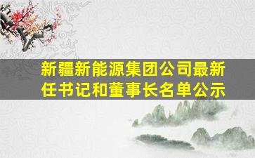 新疆新能源集团公司最新任书记和董事长名单公示