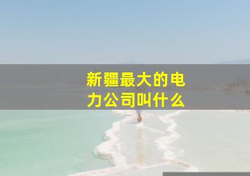 新疆最大的电力公司叫什么