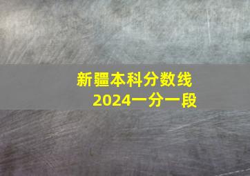 新疆本科分数线2024一分一段