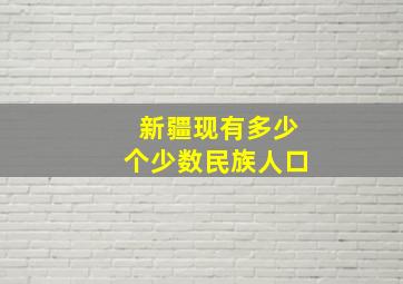 新疆现有多少个少数民族人口