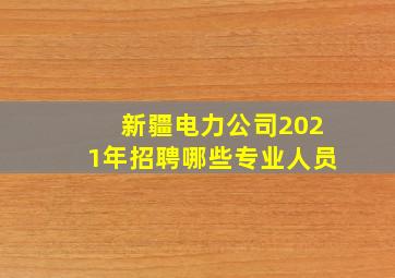 新疆电力公司2021年招聘哪些专业人员