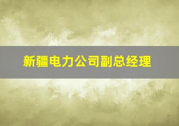 新疆电力公司副总经理