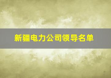 新疆电力公司领导名单