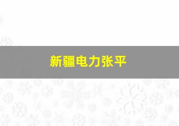 新疆电力张平