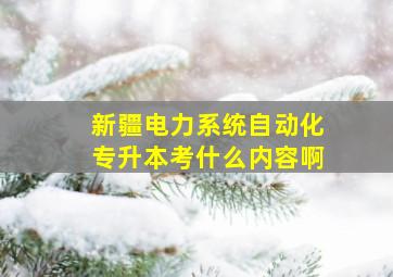 新疆电力系统自动化专升本考什么内容啊