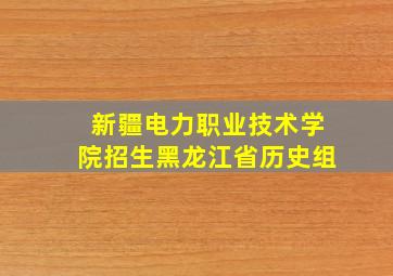 新疆电力职业技术学院招生黑龙江省历史组