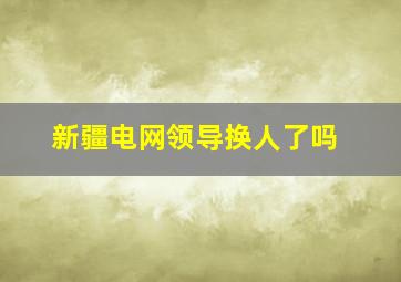 新疆电网领导换人了吗