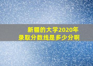 新疆的大学2020年录取分数线是多少分啊