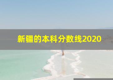 新疆的本科分数线2020