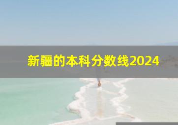 新疆的本科分数线2024