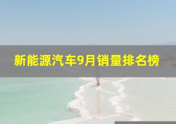 新能源汽车9月销量排名榜