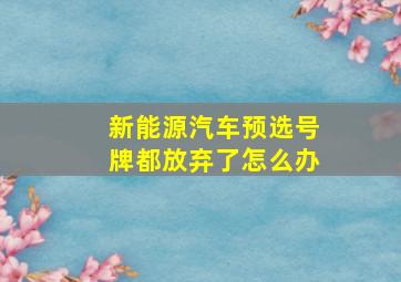 新能源汽车预选号牌都放弃了怎么办