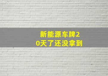 新能源车牌20天了还没拿到