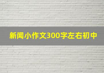 新闻小作文300字左右初中