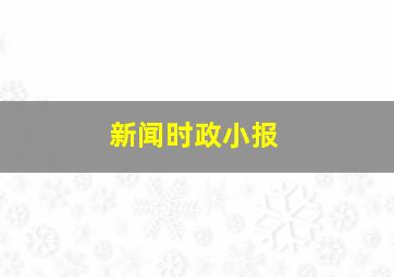 新闻时政小报