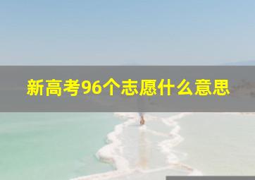 新高考96个志愿什么意思