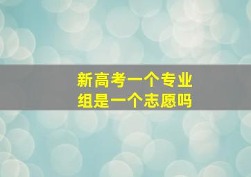 新高考一个专业组是一个志愿吗