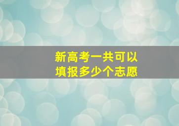 新高考一共可以填报多少个志愿