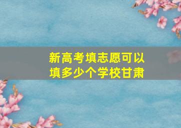 新高考填志愿可以填多少个学校甘肃