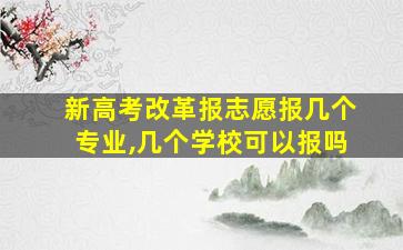 新高考改革报志愿报几个专业,几个学校可以报吗