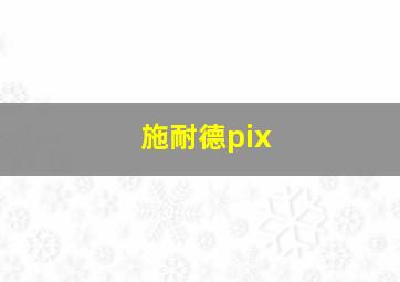 施耐德pix