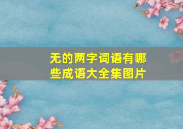 无的两字词语有哪些成语大全集图片