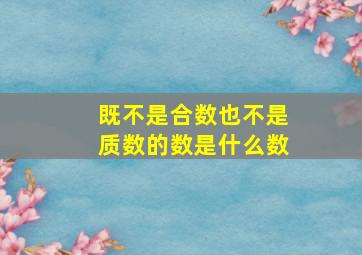 既不是合数也不是质数的数是什么数