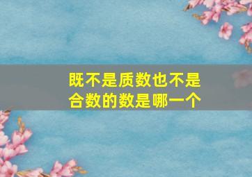 既不是质数也不是合数的数是哪一个