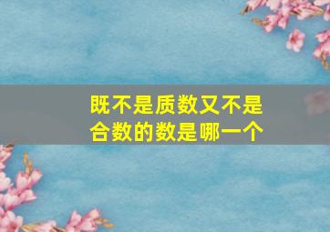 既不是质数又不是合数的数是哪一个