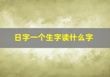 日字一个生字读什么字