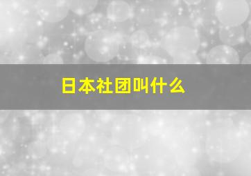 日本社团叫什么