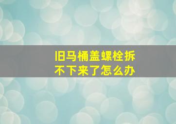 旧马桶盖螺栓拆不下来了怎么办