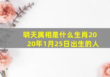 明天属相是什么生肖2020年1月25日出生的人